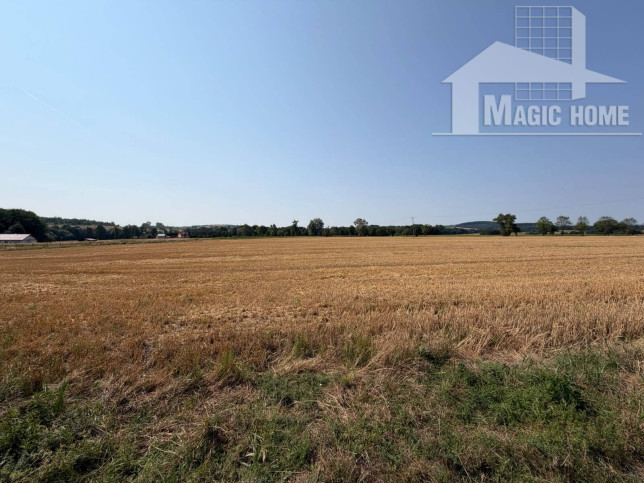 Działka Sprzedaż Przerzeczyn-Zdrój 3